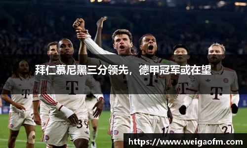 三亿体育网址