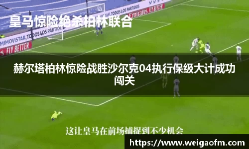 三亿体育官网