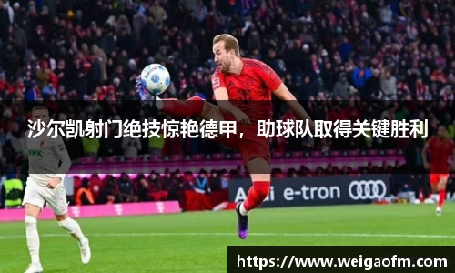 三亿体育app