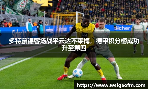 三亿体育网址