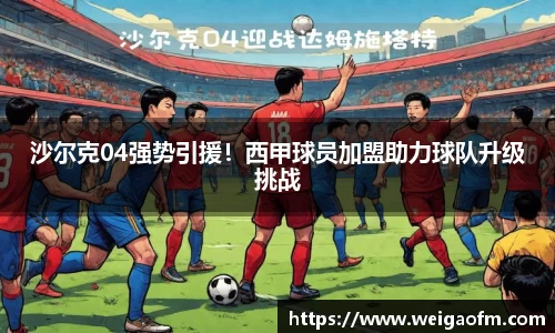 三亿体育app