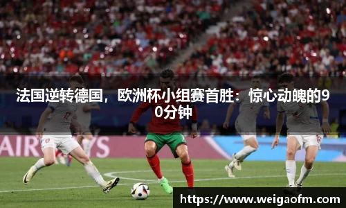 三亿体育网址