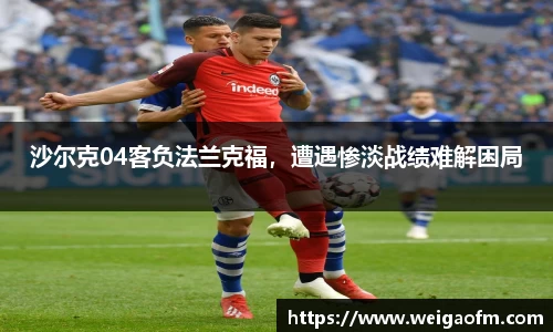 三亿体育注册