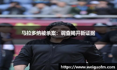 三亿体育官网