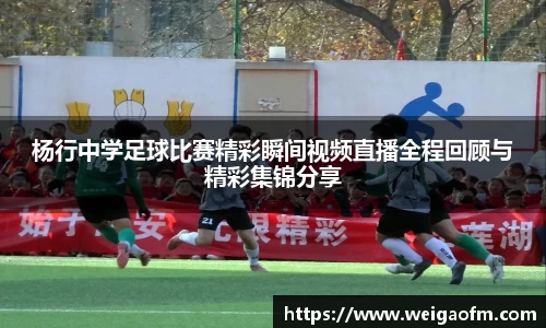 三亿体育官网