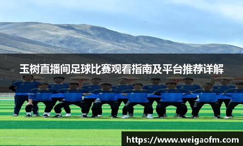 三亿体育官网