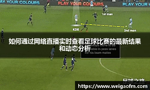 三亿体育网址