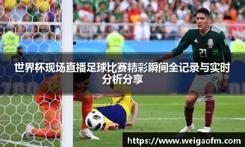 三亿体育网址