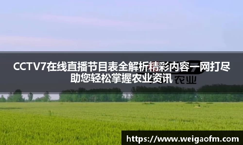 三亿体育官网