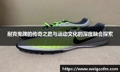 三亿体育注册