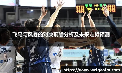 飞马与风暴的对决前瞻分析及未来走势预测
